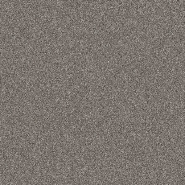 Shaw Floors Carpet Yes You Can III 15' Vintage 00509_5E573