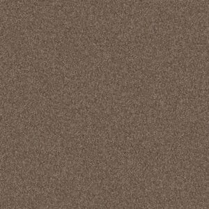 Shaw Floors Carpet Yes You Can III 15' Worn Path 00700_5E573