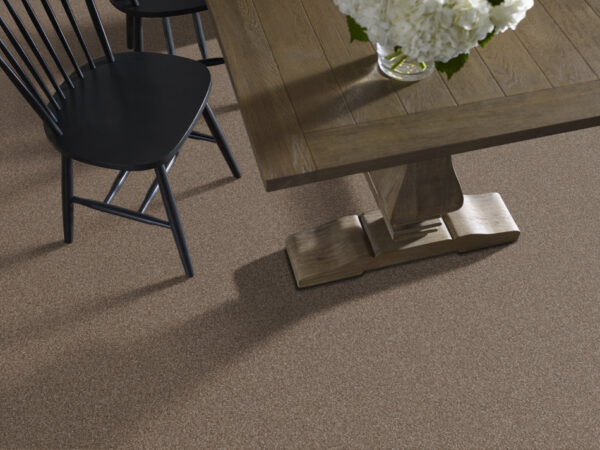 Shaw Floors Carpet Yes You Can III 15' Worn Path 00700_5E573 - Image 2