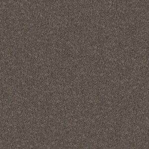 Shaw Floors Carpet Yes You Can III 15' Cafe Noir 00706_5E573