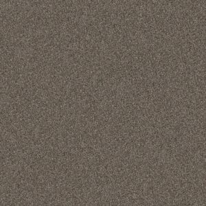 Shaw Floors Carpet Yes You Can III 15' Urban Rustic 00708_5E573