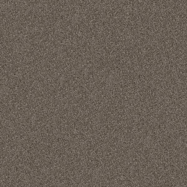 Shaw Floors Carpet Yes You Can III 15' Urban Rustic 00708_5E573