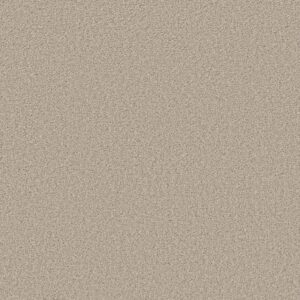 Shaw Floors Carpet Trusolutions I Sugar Cookie 00107_5E647