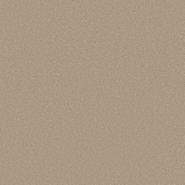 Shaw Floors Carpet Trusolutions I Sheer Natural 00110_5E647