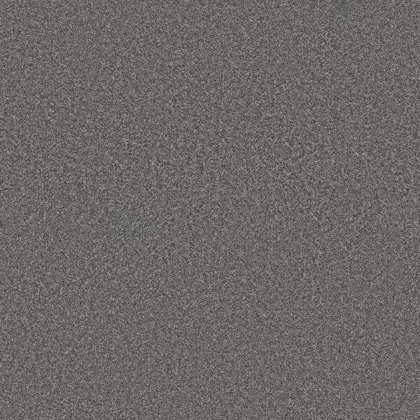 Shaw Floors Carpet Trusolutions I Mercury 00508_5E647