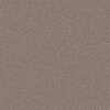 Shaw Floors Carpet Trusolutions I Taupe Dream 00705_5E647