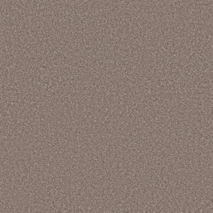 Shaw Floors Carpet Trusolutions I Taupe Dream 00705_5E647