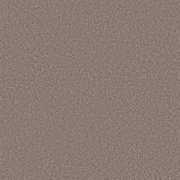 Shaw Floors Carpet Trusolutions I Taupe Dream 00705_5E647