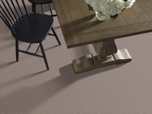 Shaw Floors Carpet Trusolutions I Taupe Dream 00705_5E647 - Image 2