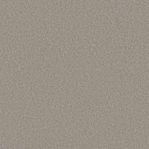 Shaw Floors Carpet Trusolutions II Stone Path 00505_5E648