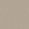 Shaw Floors Carpet Trusolutions III Sugar Cookie 00107_5E649