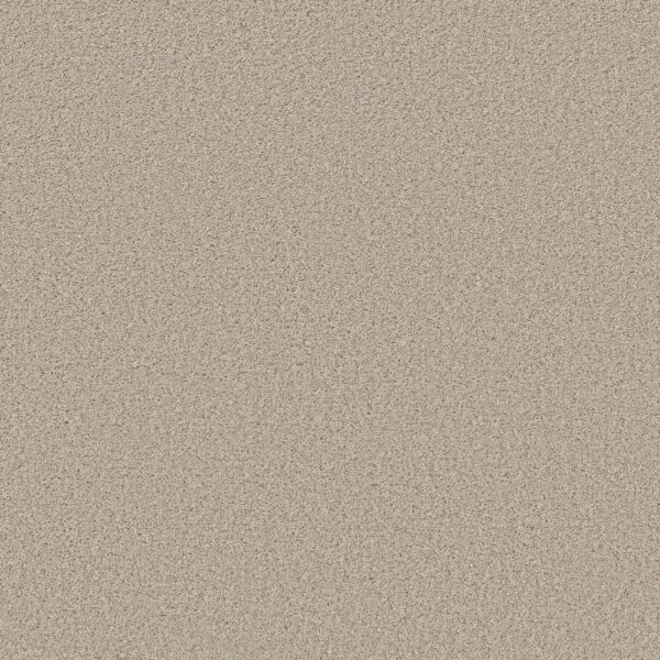 Shaw Floors Carpet Trusolutions III Sugar Cookie 00107_5E649