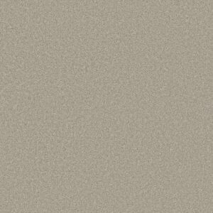 Shaw Floors Carpet Trusolutions III Bleached Oak 00108_5E649