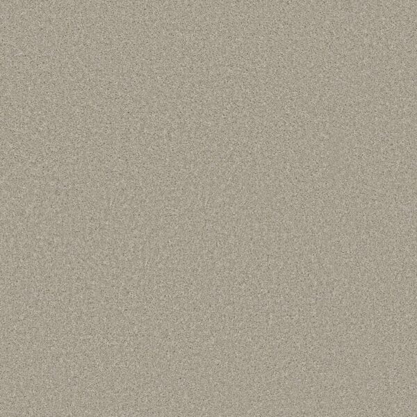 Shaw Floors Carpet Trusolutions III Bleached Oak 00108_5E649
