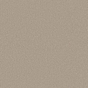 Shaw Floors Carpet Trusolutions III Sand 00109_5E649