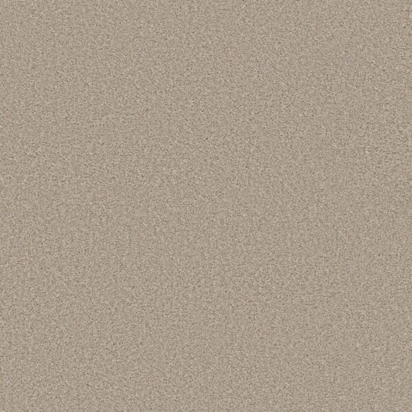 Shaw Floors Carpet Trusolutions III Sand 00109_5E649