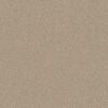Shaw Floors Carpet Trusolutions III Sheer Natural 00110_5E649