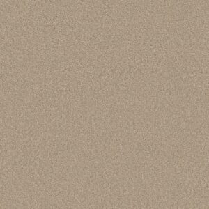 Shaw Floors Carpet Trusolutions III Sheer Natural 00110_5E649