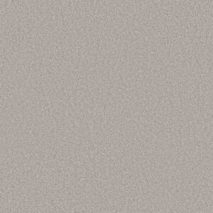 Shaw Floors Carpet Trusolutions III Clear Sky 00502_5E649