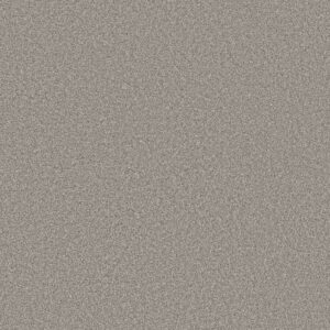 Shaw Floors Carpet Trusolutions III Concrete 00504_5E649