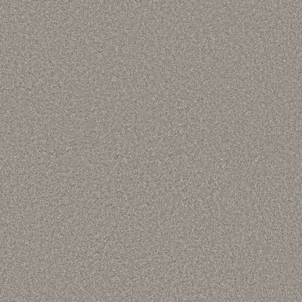Shaw Floors Carpet Trusolutions III Concrete 00504_5E649
