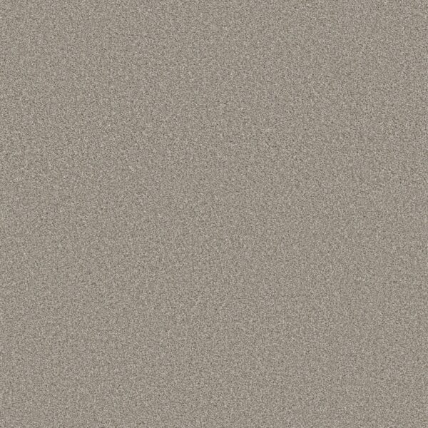 Shaw Floors Carpet Trusolutions III Stone Path 00505_5E649