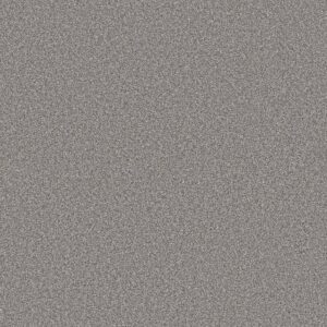 Shaw Floors Carpet Trusolutions III Storm Cloud 00506_5E649