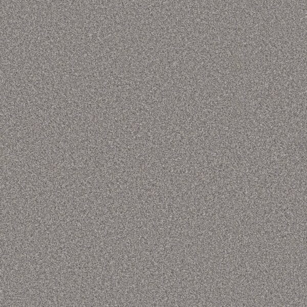Shaw Floors Carpet Trusolutions III Storm Cloud 00506_5E649