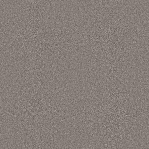 Shaw Floors Carpet Trusolutions III Tree Bark 00507_5E649