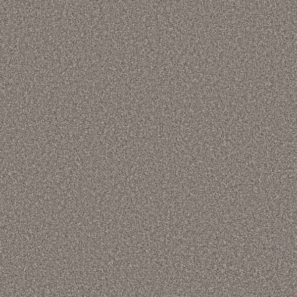 Shaw Floors Carpet Trusolutions III Tree Bark 00507_5E649