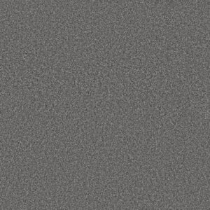 Shaw Floors Carpet Trusolutions III Mercury 00508_5E649