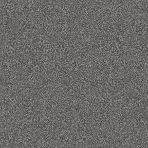 Shaw Floors Carpet Trusolutions III Mercury 00508_5E649
