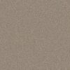 Shaw Floors Carpet Trusolutions III Beach Cabana 00704_5E649