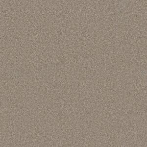 Shaw Floors Carpet Trusolutions III Beach Cabana 00704_5E649