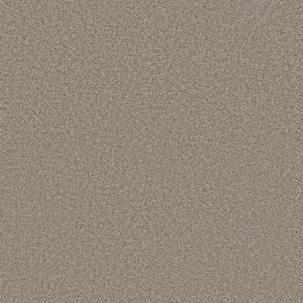 Shaw Floors Carpet Trusolutions III Beach Cabana 00704_5E649