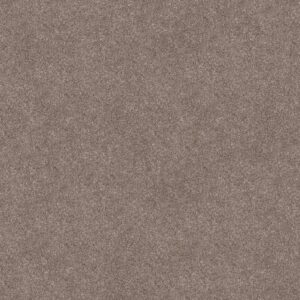 Shaw Floors Carpet Trusolutions III Taupe Dream 00705_5E649