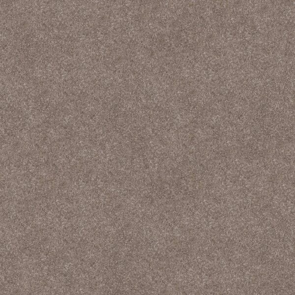 Shaw Floors Carpet Trusolutions III Taupe Dream 00705_5E649