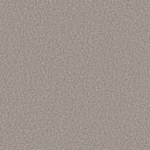 Shaw Floors Carpet Always Right I Sea Salt 00100_5E664