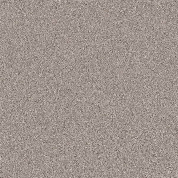 Shaw Floors Carpet Always Right I Sea Salt 00100_5E664