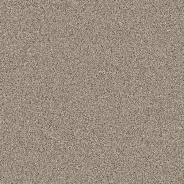 Shaw Floors Carpet Always Right I Buttercream 00102_5E664