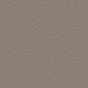 Shaw Floors Carpet Always Right I Cottage 00103_5E664