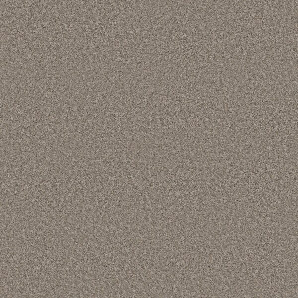 Shaw Floors Carpet Always Right I Cottage 00103_5E664