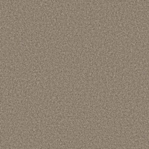 Shaw Floors Carpet Always Right I Parchment 00104_5E664