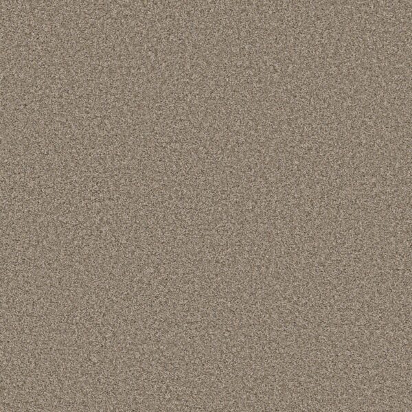 Shaw Floors Carpet Always Right I Parchment 00104_5E664