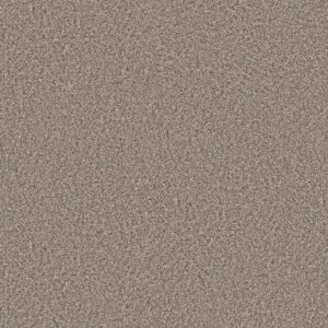 Shaw Floors Carpet Always Right I Cork 00110_5E664