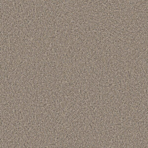 Shaw Floors Carpet Always Right I Cork 00110_5E664