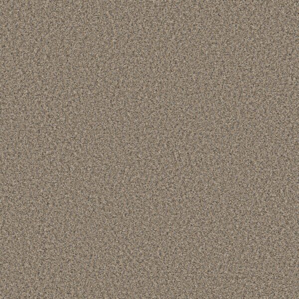 Shaw Floors Carpet Always Right I Puff Pastry 00111_5E664