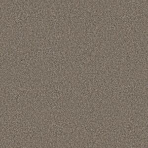 Shaw Floors Carpet Always Right I Woodcraft 00112_5E664