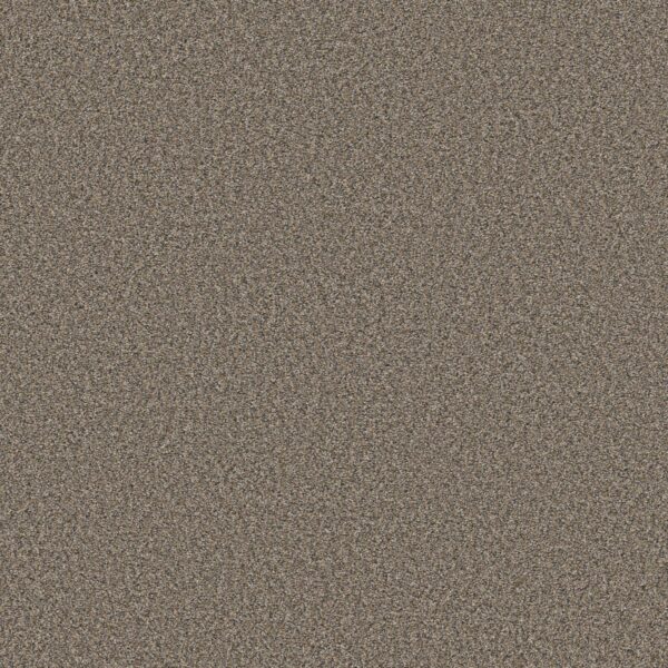Shaw Floors Carpet Always Right I Woodcraft 00112_5E664