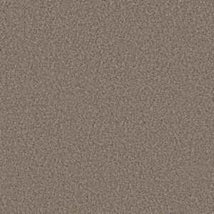 Shaw Floors Carpet Always Right I Goose Feather 00120_5E664